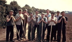 Hoeing sugar beet, ? 1950s