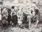 Mrs R Ralli, president of Stanhoe & Barwick WI, planting the first of two willow trees by the Pit to commemorate 50 years of the WI movement, 11 April 1967